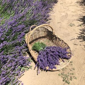 Meet your Posher, Maddie